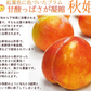秋姫(あきひめ)プラム 1.5kg前後 8-15玉前後 山形産 ギフト フルーツ 果物 くだもの プラム すもも