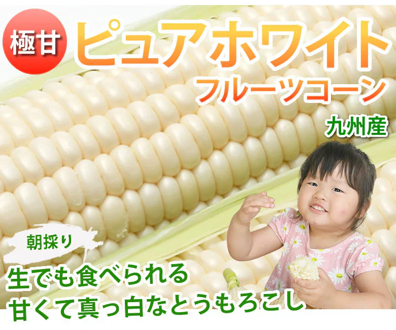 とうもろこし ピュアホワイト 送料無料 約3kg 8～12本入り 九州産 白いとうもろこし 極甘フルーツコーン スイートコーン 雪の妖精