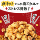 【カレー味】ガリッとコーン 500g（250g×2）ジャイアントコーン 送料無料