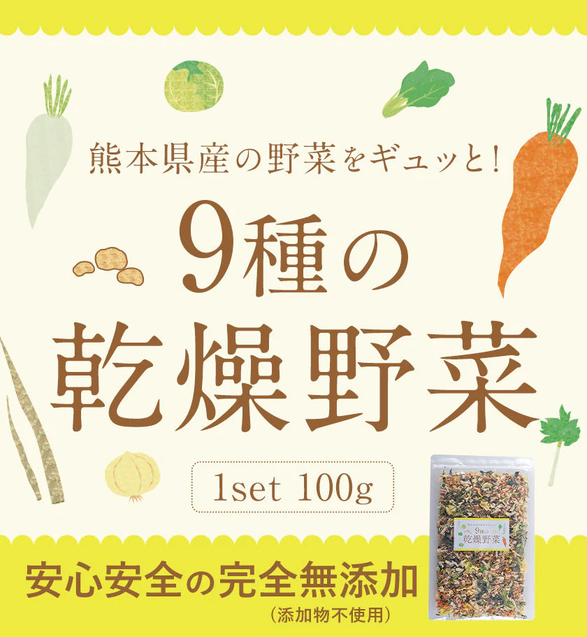 【熊本コレクション】乾燥野菜 9種 の 国産 野菜 完全無添加 100g ドライベジ エアドライ 健康食品 熊本県産 3-7営業日以内に出荷予定(土日祝除く)