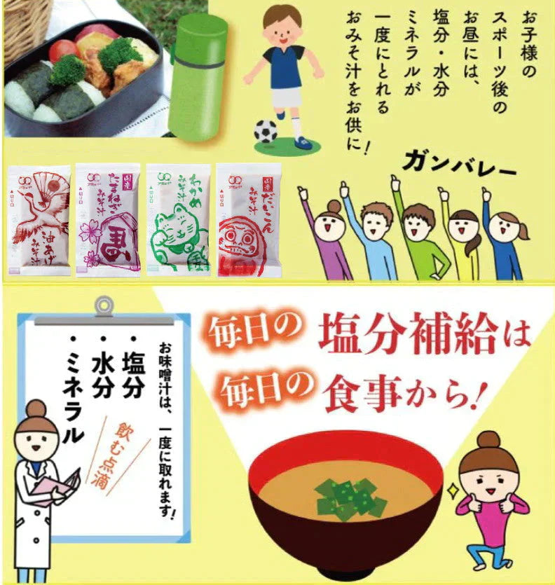 【900g (約90食】即席スープ4種　国産みそ汁 生みそタイプ 5種類　計9種より お任せアソート 送料込