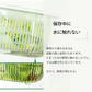 【グリーン レギュラー】ザル付き保存容器 ベジマジシリーズ あらう 野菜保存容器 冷蔵庫 水切り 洗う ザル ボウル セット 蓋付き おしゃれ