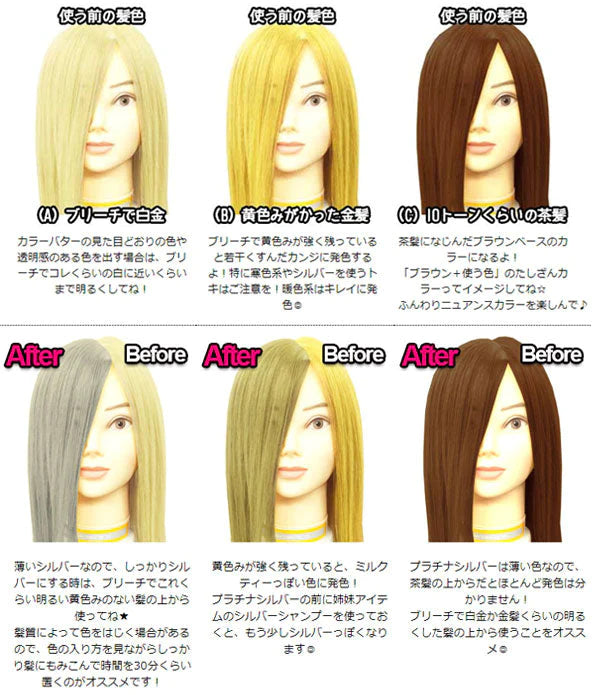 エンシェールズ カラーバター 200g プラチナシルバー ヘアカラー トリートメント ヘアマニキュア ヘアケア クリップジョイント マニキュア インナーカラー ダメージヘア ブリーチヘアー