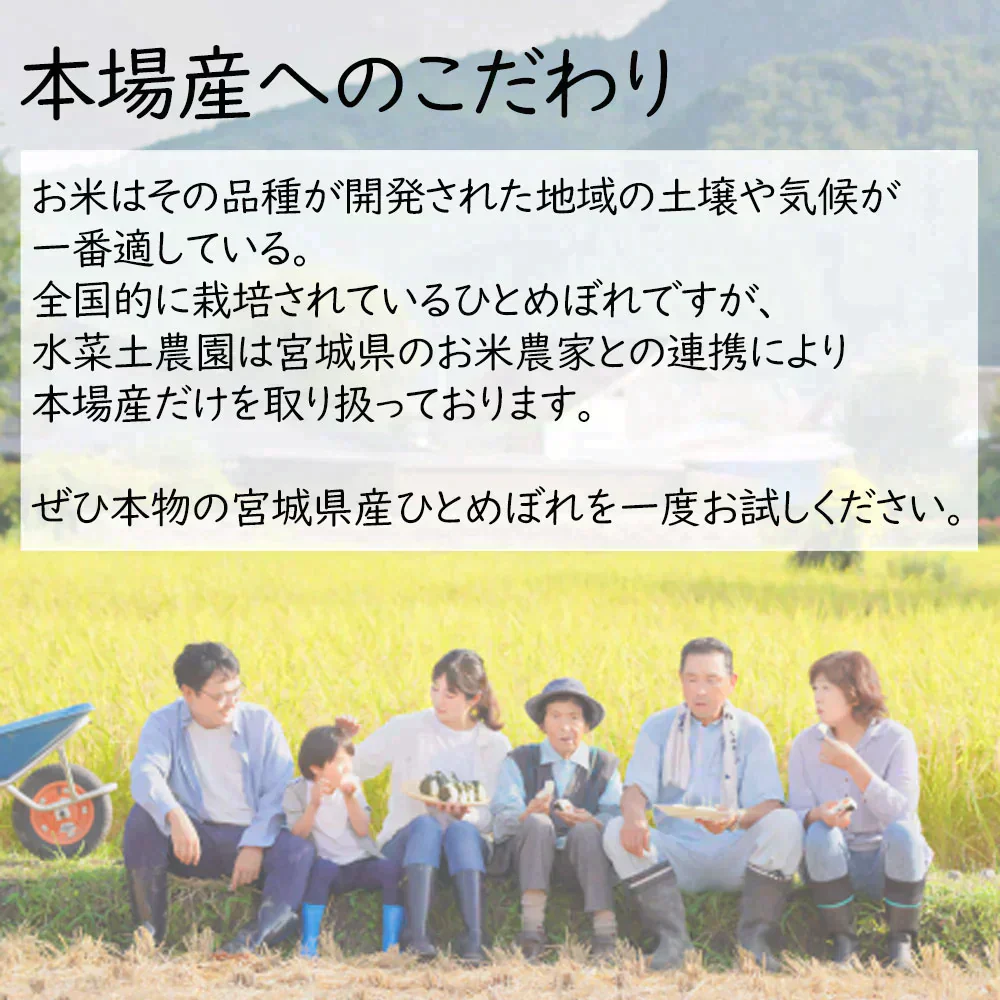 宮城県産 ひとめぼれ 精米20kg（5kg×4袋）令和7年産 古代米プレゼント付き