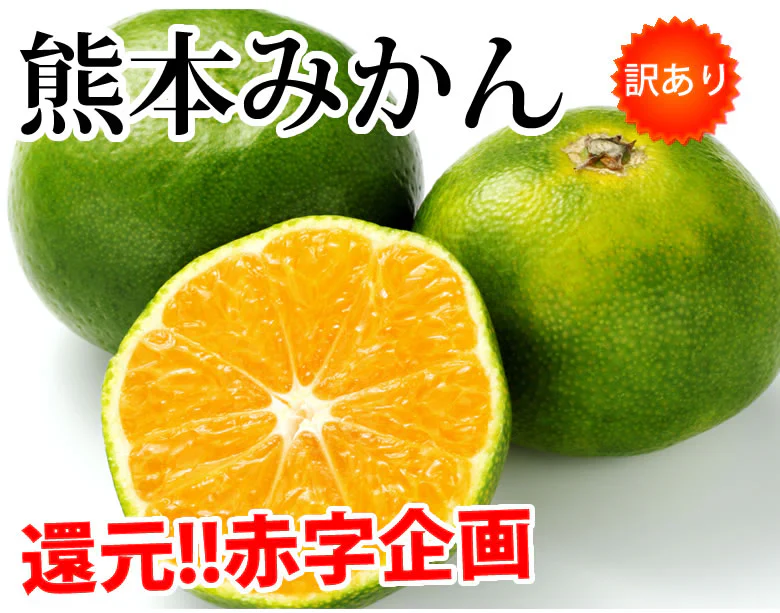 【10月上旬～中旬頃より順次出荷】みかん 5kg 送料無料 訳あり 箱込（内容量4kg＋補償分500g) 無選別 熊本みかん 極早生みかん 早生みかん 温州みかん蜜柑 ミカン