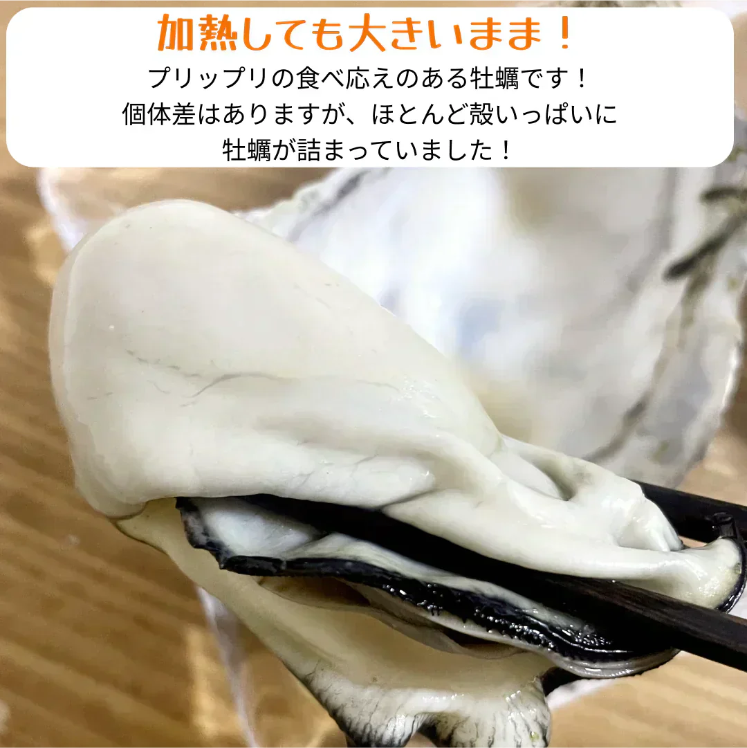 【25個以上！】香川県志度産牡蠣　３キロ