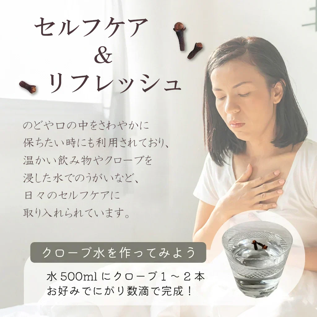 クローブ ホール オーガニック 無添加 ゴキブリ 対策 100g クローブゴキブリ チョウジ 丁子 スリランカ 有機JAS スパイスカレー セイロン スパイス 香辛料