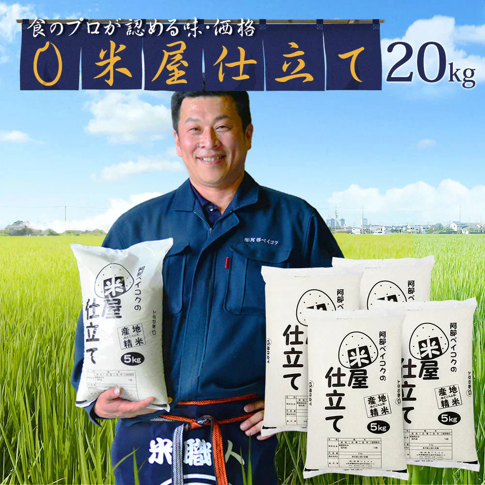 白米 20kg (5kg×4袋) 米屋仕立て 国内産 送料無料 米20キロ こめ コメ お米 お米20kg