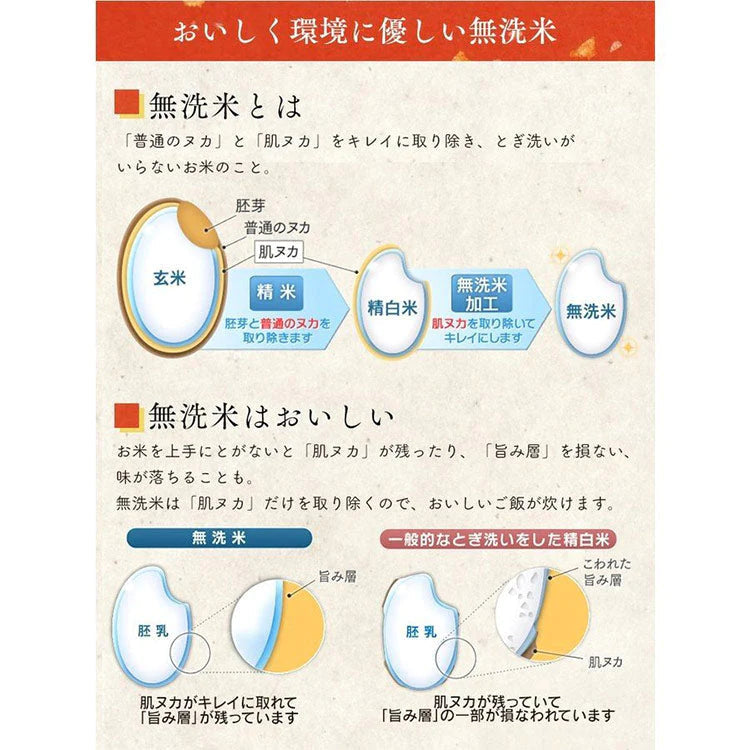 【カートアップNG】【2個セット】【新米】【令和4年産】米無洗米秋田県産 あきたこまち 10kg（5kg×2)低温製法米 精米 お米 10キロ アキタコマチ ご飯 コメ アイリスオーヤマ ごはん アイリスフーズ