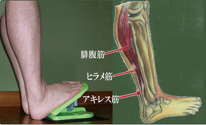 【歩かなくても足は鍛えられる】座ったまま 足踏み ステッパー 健康 高齢者 シニア 足踏み 足腰を鍛える 健康器具 足の運動 リハビリ 足のむくみ ながら運動 在宅ワーク 事務仕事 デスクワーク