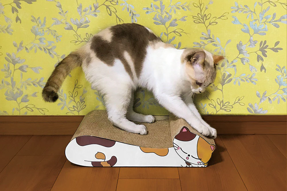 ねこの爪とぎ　居眠りにゃんこ　ミケ◆ 猫 ネコ ねこ にゃんこ 猫用品 ペット ぺっと グッズ 小物 つめとぎ 爪とぎ 爪研ぎ ダンボール 段ボール お洒落 おしゃれ オシャレ 可愛い かわいい カワイイ 猫の日