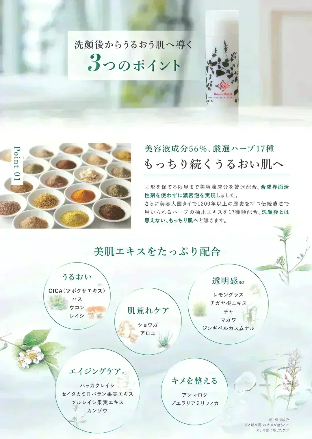 【送料無料】ルアンルアン 生せっけんスティック（オリジナル） 泡立てネットセット