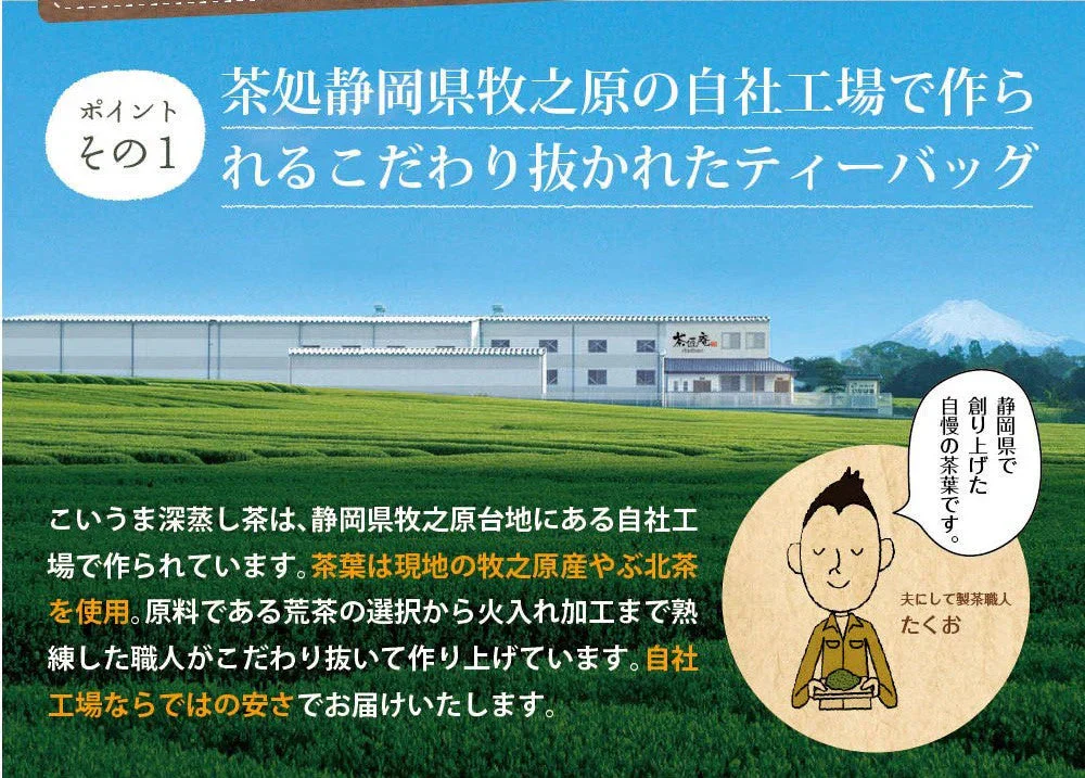 日本橋いなば園 こいうま深蒸し茶ティーバッグ ポット用 5g×20包 メール便送料無料 いなば園 水だし 水出し茶 ギフト おくりもの 贈り物 プレゼント 香典返し 内祝い ティー プチギフト 深蒸し煎茶 お茶 お礼 返礼品 茶匠庵 茶味一撰
