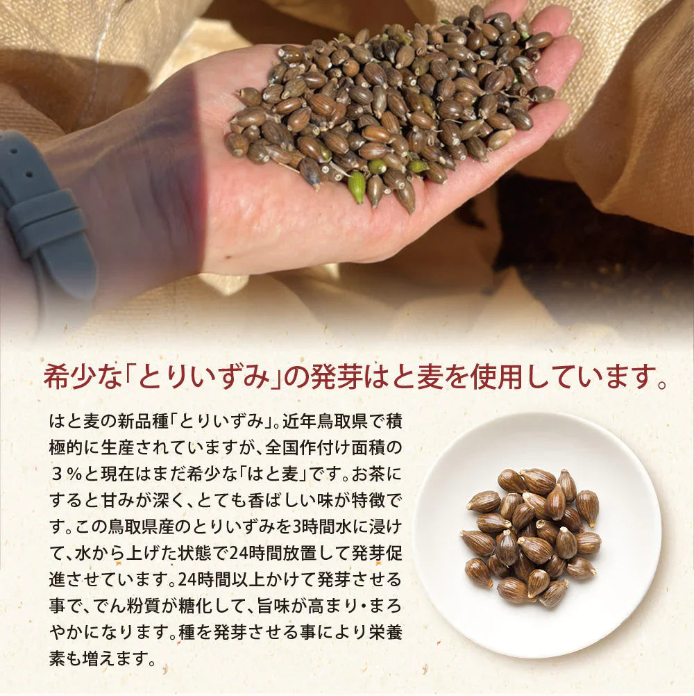 日本橋いなば園 はとむぎ茶ティーバッグ 60包 ネコポス メール便送料無料
