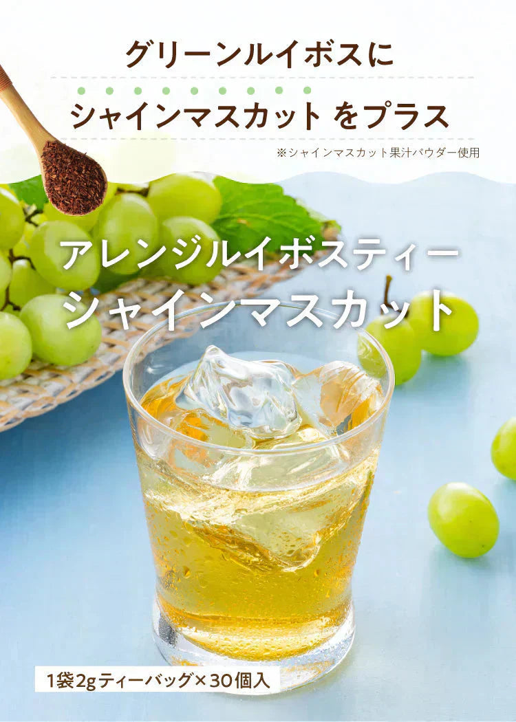 ★水出しOK★アレンジルイボスティー　シャインマスカット　カップ用３０個入（グリーンルイボスティー ティーバッグ ノンカフェイン ハーブティー）【ご新規さん限定商品】