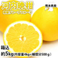 河内晩柑 みかん 送料無料 訳あり 5kg 箱込 (内容量4kg+不良果補償分500g)  S～3L お取り寄せ 和製グレープフルーツ 晩柑 熊本県産 美生柑 フルーツ