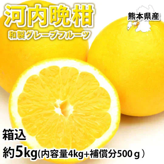 河内晩柑 みかん 送料無料 訳あり 5kg 箱込 (内容量4kg+不良果補償分500g)  S～3L お取り寄せ 和製グレープフルーツ 晩柑 熊本県産 美生柑 フルーツ