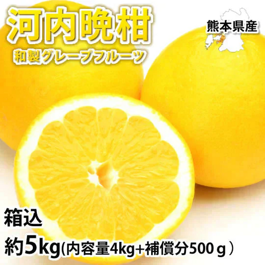 河内晩柑 みかん 送料無料 訳あり 5kg 箱込 (内容量4kg+不良果補償分500g)  S～3L お取り寄せ 和製グレープフルーツ 晩柑 熊本県産 美生柑 フルーツ