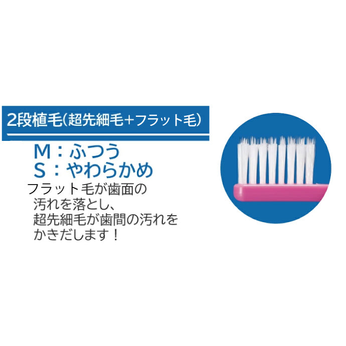 歯ブラシ Ci ベーシック 超先細＋フラット毛／Mふつう／5色アソート 20本入【Ciメディカル 歯ブラシ】【メール便送料無料】