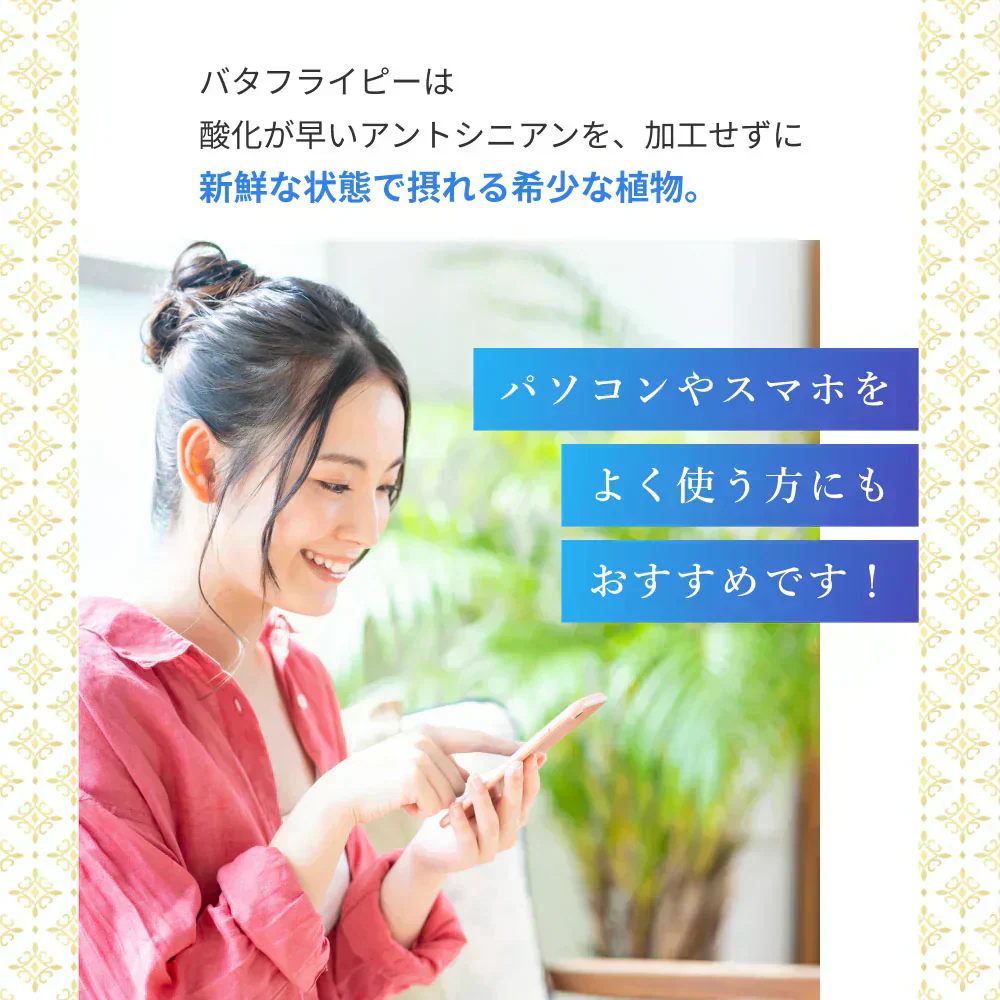 Kaorino オーガニック バタフライピー 完全無農薬茶葉使用 50g 賞味期限：2024年10月3日 カウシェ限定 | オーガライフ