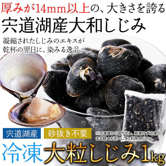 宍道湖産 大粒 しじみ 冷凍１kg獲れたてを急速冷凍！身が大きくてプリプリ！冷凍A