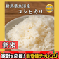 【白米】令和7年産 魚沼産 コシヒカリ 10kg(5kg×2袋) 精白米 国産 国産コシヒカリ100％ 送料無料 精米工場からの直送品