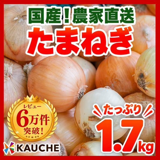 【10営業日以内に発送】約1.7kg（1600g～1800g）たっぷりお届け！つやまる玉ねぎ 農家直送【九州～関西～関東～北陸 発送可】【カウシェファーム収穫対象商品】