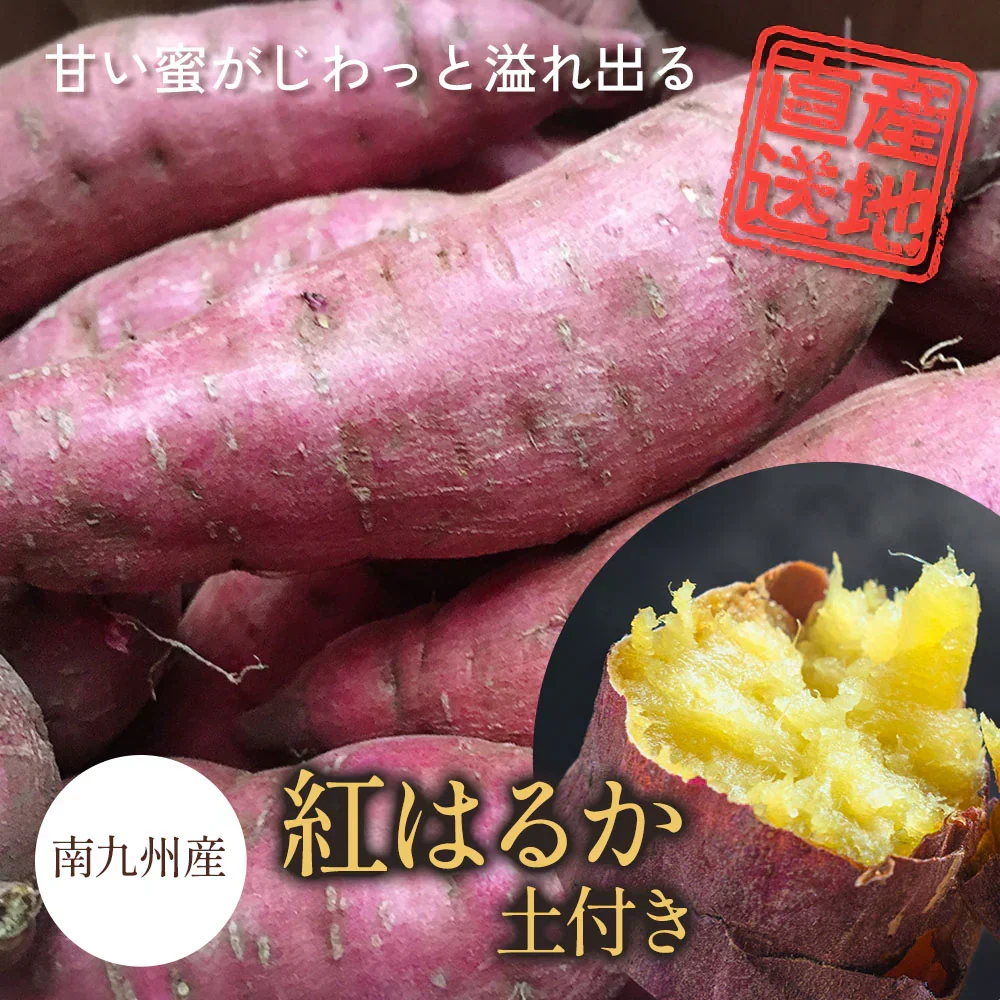 紅はるか さつまいも 5kg 産地直送 産直 土付き さつま芋 薩摩芋 焼きいも 焼き芋 石焼き芋 芋 いも イモ 南九州産  FJK-000