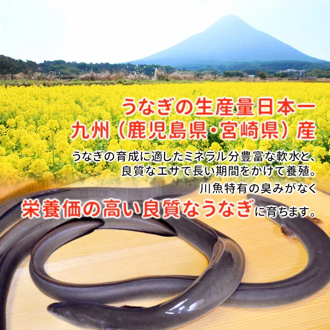 国産 うなぎ蒲焼き 約170g×4尾 送料無料 九州産 今だけ200gにグレードアップ