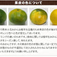 小玉 みかん 送料無料 訳あり みかん 小粒 1.5kg 家庭用 箱買い 果物 小粒 熊本 極早生 柑橘 九州 訳アリ だけど 小玉 で 甘い 蜜柑 わけあり 《9月中旬-9月末頃より発送予定》