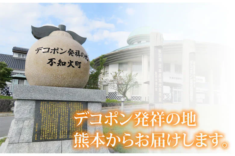デコポン 光センサー選果 約5kg みかん 御歳暮 ギフト DEKOPON 熊本県産 不知火 フルーツ お取り寄せ 蜜柑 ミカン