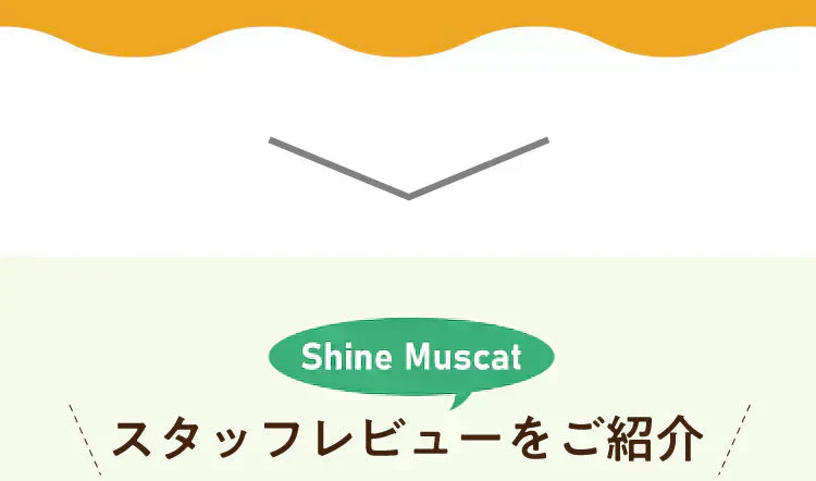 【最短当日出荷】★水出しOK★アレンジルイボスティー　シャインマスカット　カップ用３０個入　２袋セット（約60杯分 グリーンルイボスティー ティーバッグ ノンカフェイン ハーブティー）