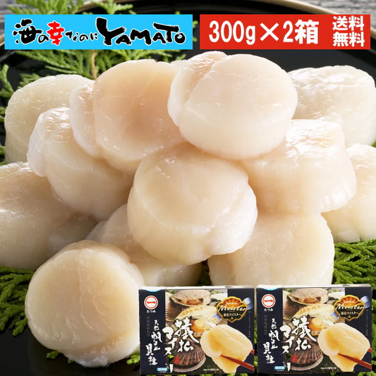 日本最北端“北海道猿払産”ホタテ貝柱 正規品化粧箱300g入り x 2箱セット お刺身ホタテ プレミアムホタテ貝柱 猿払 猿払村 北海道産 北海道オホーツク 帆立 ホタテ ほたて