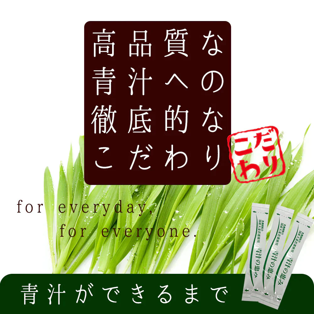 乳酸菌 国産青汁 63g (3g×21包) 3週間分　[ 青汁 飲みやすい 酵素 健康 ダイエット 国産 乳酸菌 100億個 食物繊維 おためし] K