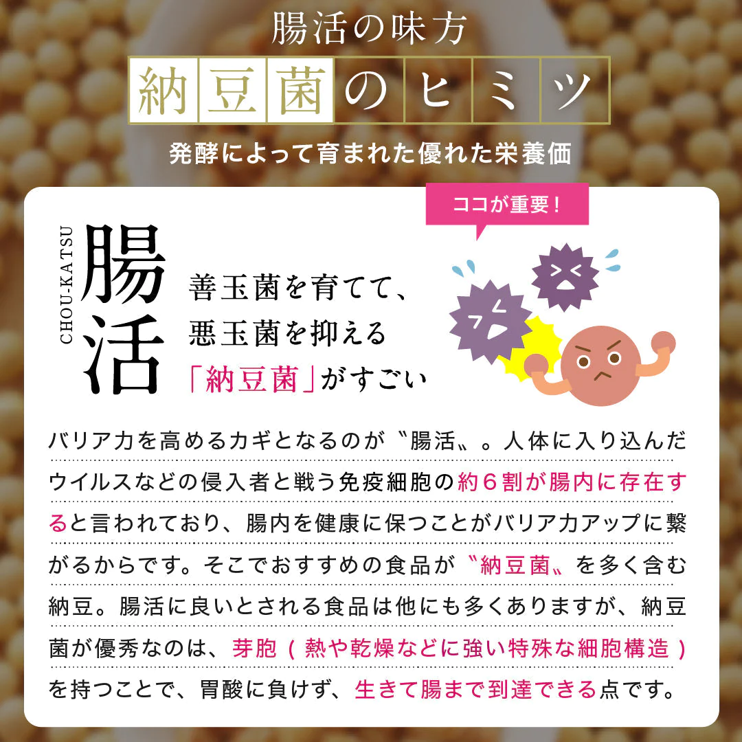 【送料込】こな納豆 / 匂い粘りひかえめ(18g×2個) 完全無添加 国産納豆パウダー 離乳食や食事にかけるだけで栄養アップ 納豆菌で手軽に腸活