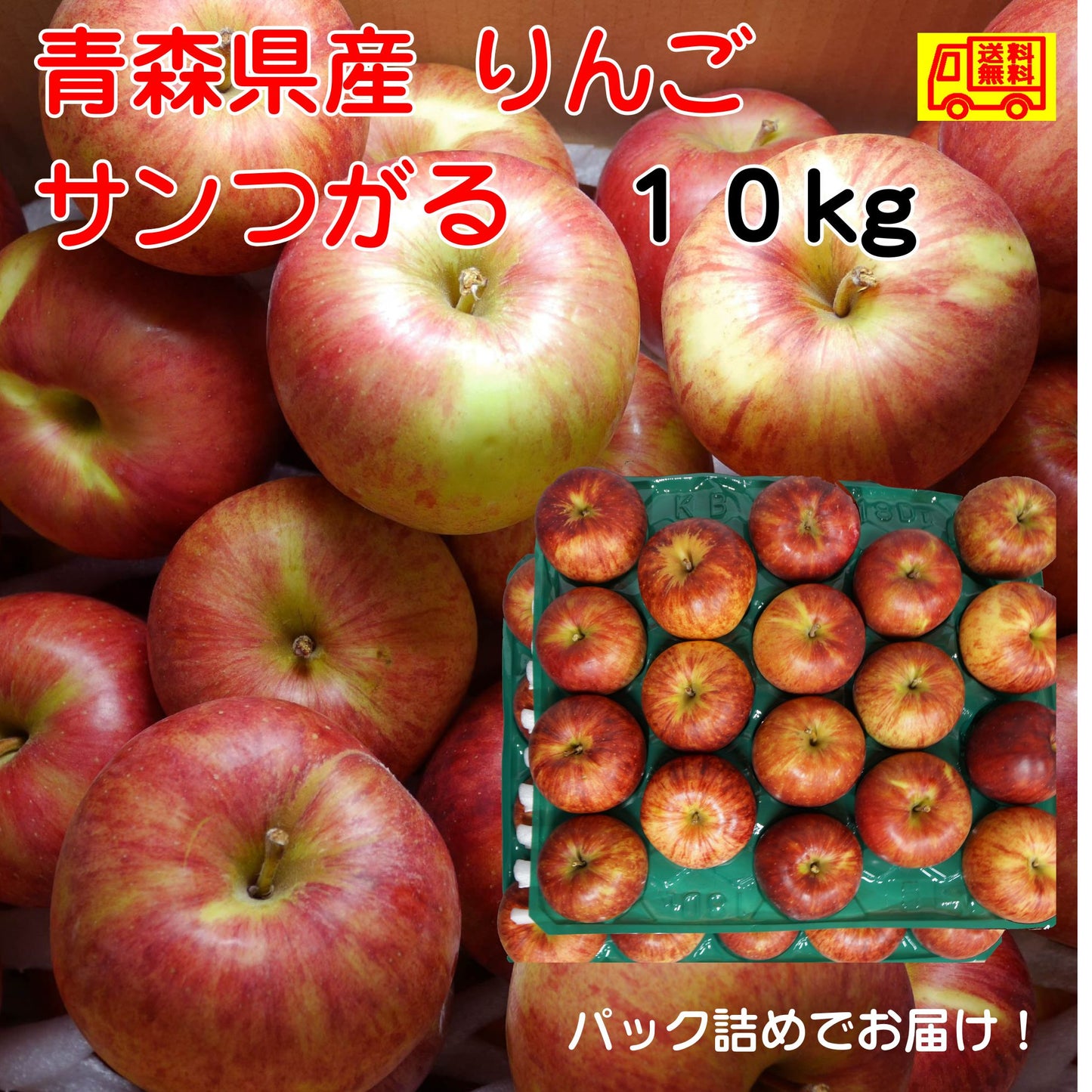 青森県産　りんご　　サンつがる 訳あり　30-50玉　10kg 送料無料