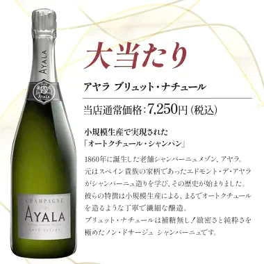 ［数量限定］アルマンドが当たるかも！？アウトレットワイン12本 福袋 【送料無料】