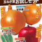 玉ねぎ苗 玉葱苗お試しセット 3種150本