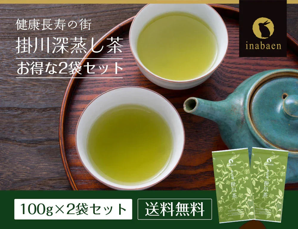 【2個セット】日本橋いなば園 静岡深蒸し茶 掛川茶 100g メール便 送料無料