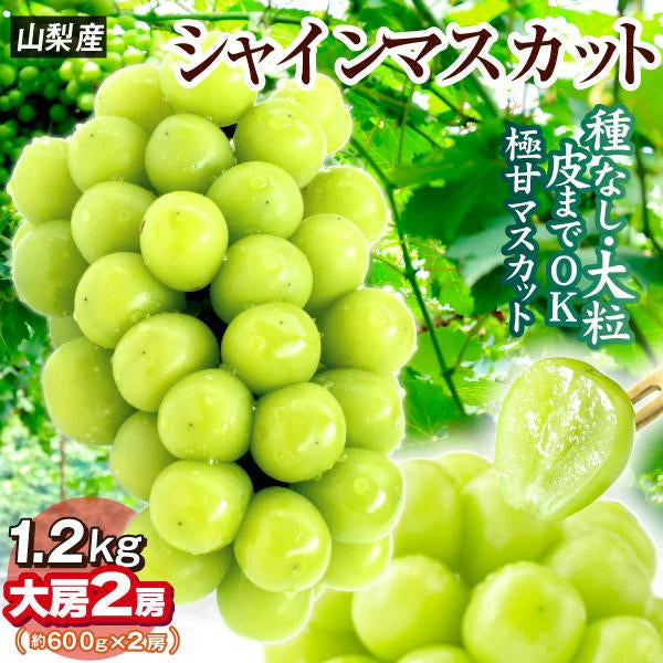 シャインマスカット 2房（約1.2kg）山梨産 （発送予定:9月下旬より）