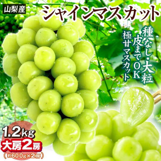 シャインマスカット 2房（約1.2kg）山梨産 （発送予定:9月下旬より）