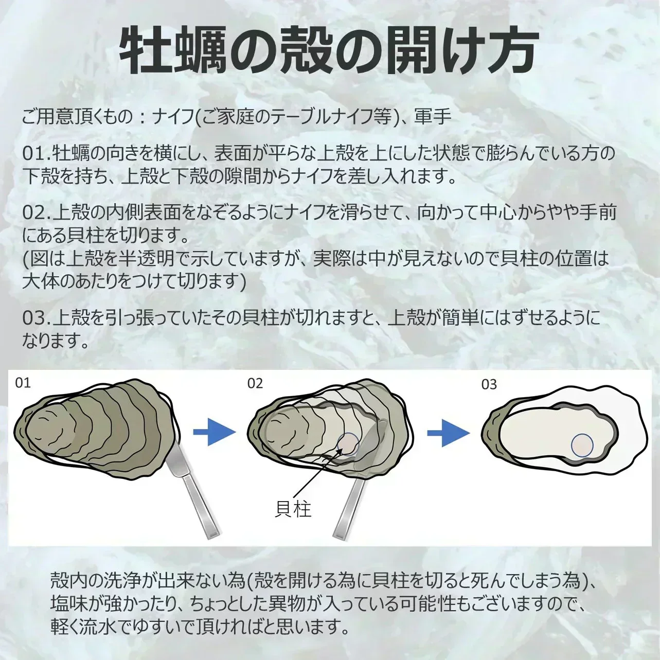 【生食OK】三陸産 殻付き 生牡蠣 3kg 今季初出し 希少 数量限定 新鮮 宮城 石巻 鉄分 ミネラル豊富 希少 貝 魚介類 かき 栄養 海の幸