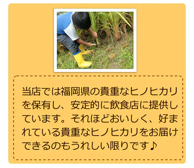 米5kg 送料無料 九州 研ぐお米 福岡県産 ヒノヒカリ 米 5kg 九州産 送料込み 令和7年産