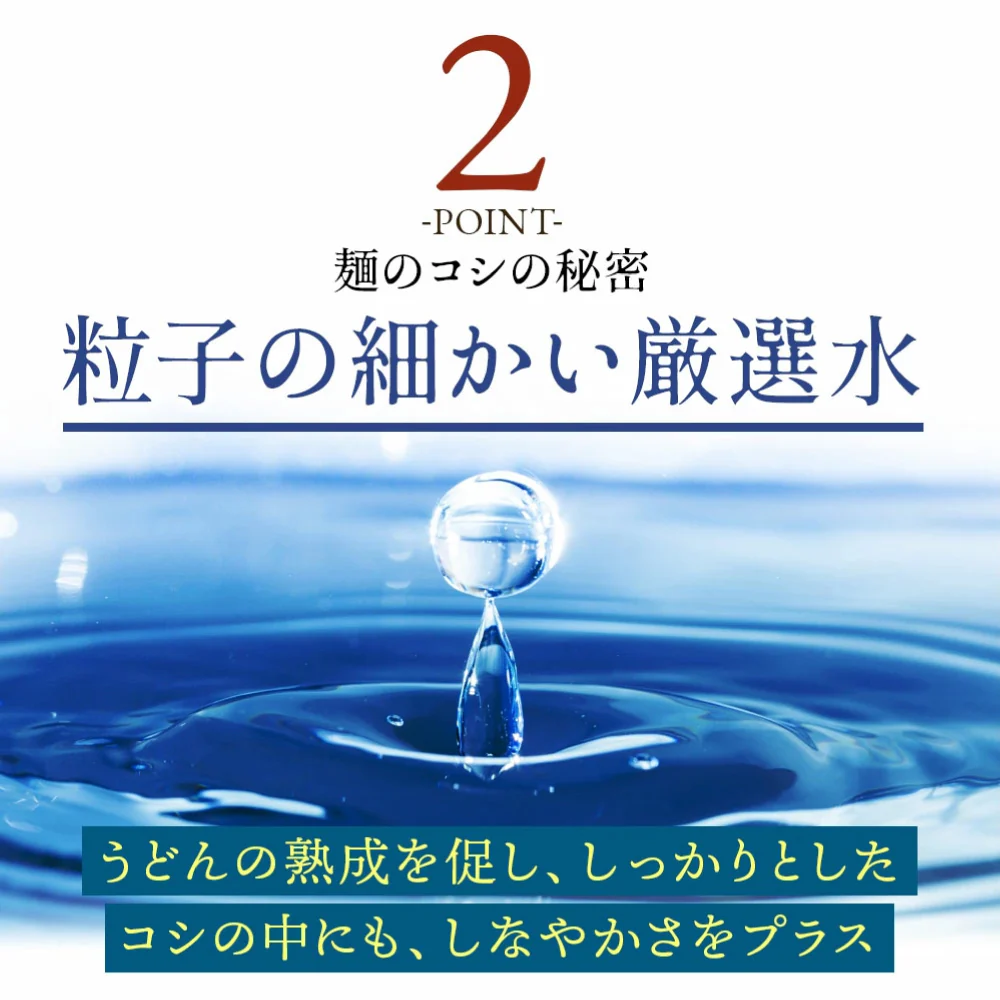 本場生讃岐うどん 専用醤油付セット【極太麺】 6人前 (300g×2袋) 送料無料 讃岐うどん 生うどん しょうゆうどん だし醤油 鎌田醤油 国産小麦 生麺 人気 贈り物 手土産 お土産 お礼