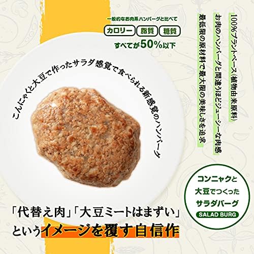 大豆ハンバーグ 代替肉 サラダバーグ 90g×6