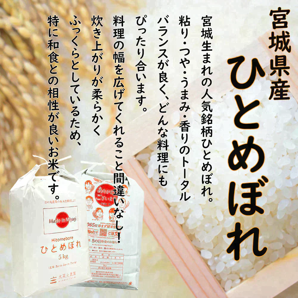 【精米セット】宮城県産 ひとめぼれ 5kg & 新潟県産 こしひかり 5kg 令和5年産【古代米プレゼント付き】