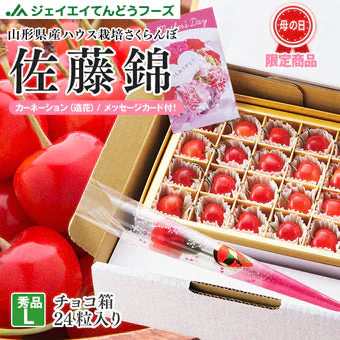 【母の日ギフト】山形県産さくらんぼ佐藤錦 24粒 Ｌ玉 豪華菓子箱入り【送料無料】※一部地域別途送料 rc19