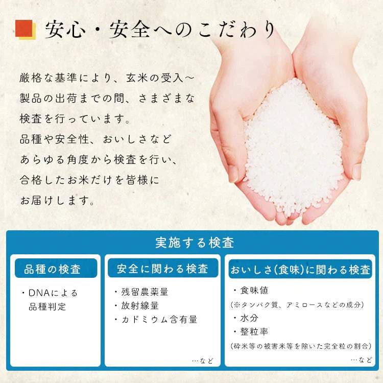 【カートアップNG】アイリスオーヤマ 低温製法米 新潟県産 新之助 2kg