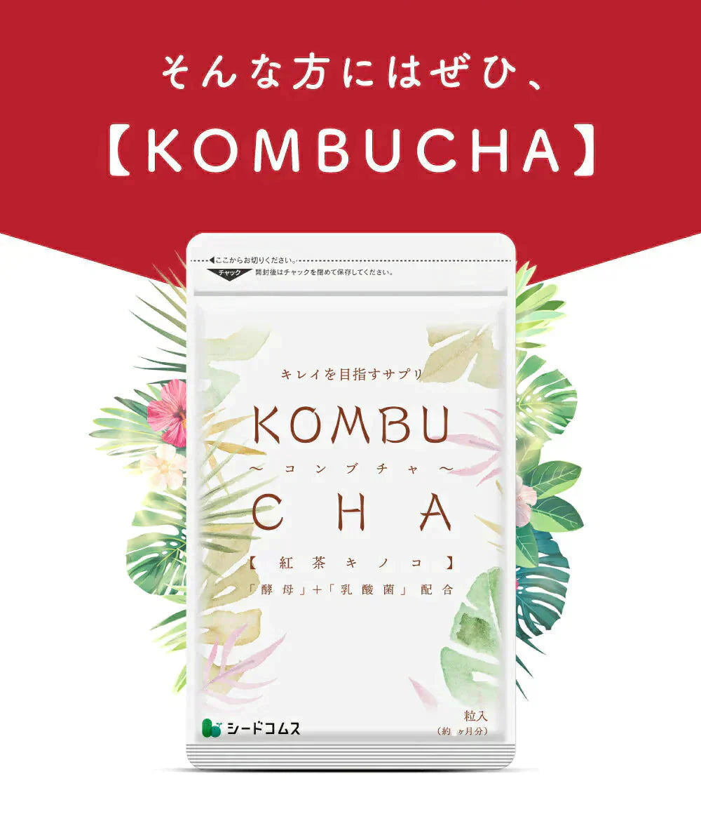 コンブチャ《約3ヶ月分》ダイエット サプリ サプリメント 美容 健康 酵素 乳酸菌  紅茶キノコ 酵母 ビタミンD 葉酸 ビタミンC ビタミンB 大豆ペプチド コンブ【大容量】