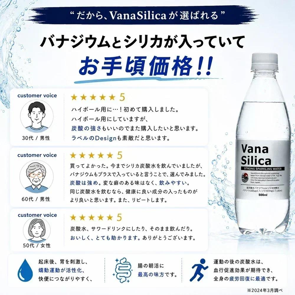 【 1ケース 】 富士山のバナジウム＆シリカ 強炭酸水 VanaSilica（バナシリカ） 500ml 24本 プレーン【ご新規さん限定商品】